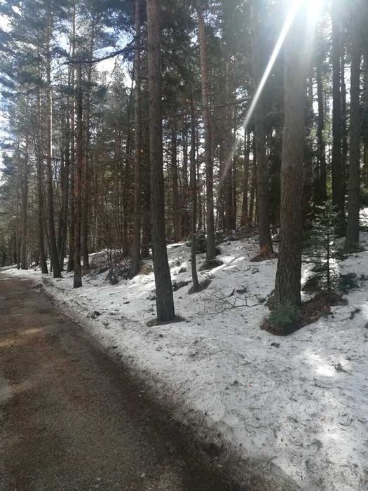 Парцел хижа Здравец до хижа Металик 100метра лице