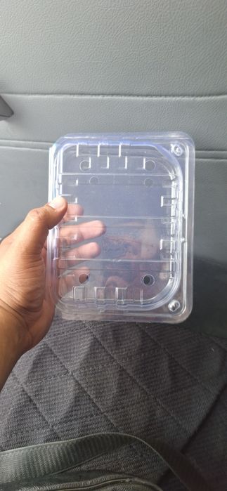 Одноразовые посуда контейнер для фруктов