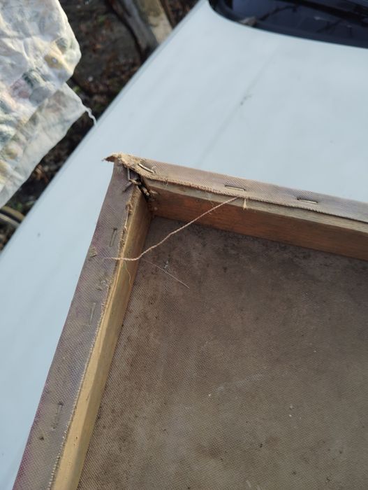 Pictura unica pe panza, și tablou tapițat 3D, +stropitoare de aramă !