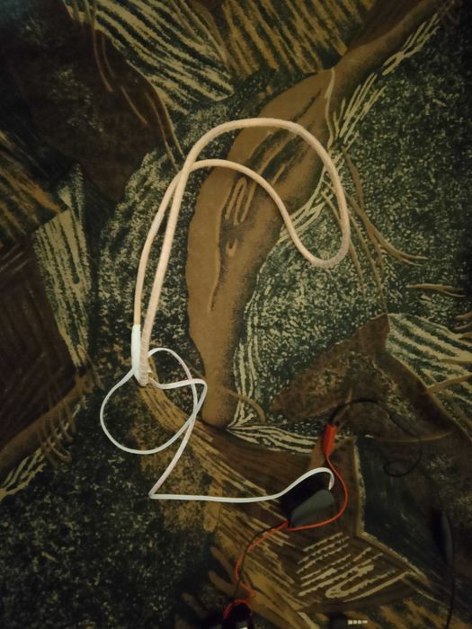 Бръмбар със слушалки