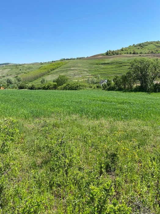 Casă de vânzare la țară + teren generos – zonă liniștită, aproape de natură – comuna Buza, jud. Cluj
