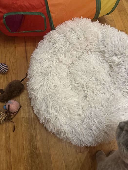Вещи за домашен любимец за котка, коте, котки
