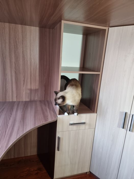 Кровать - чердак Город