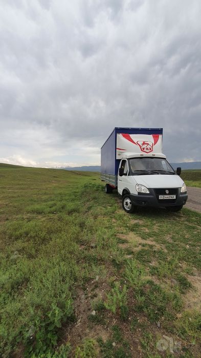 Gazel biznes bo‘rtli tentli