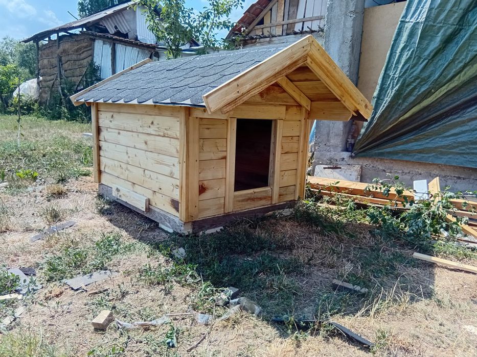Cușcă pentru ciini