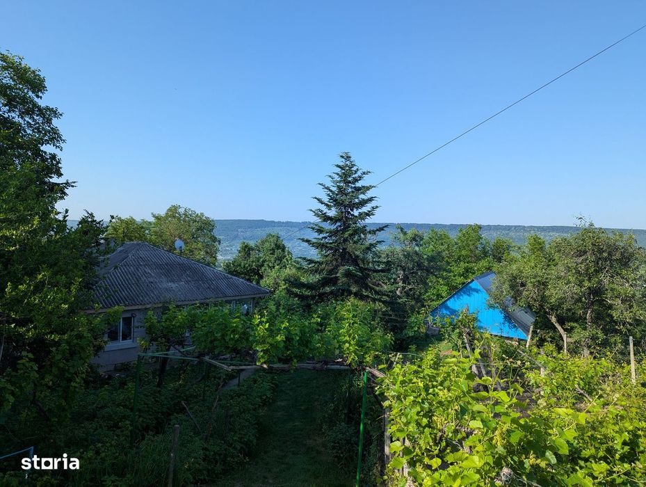 Casa + teren (gradina, vie si livada)