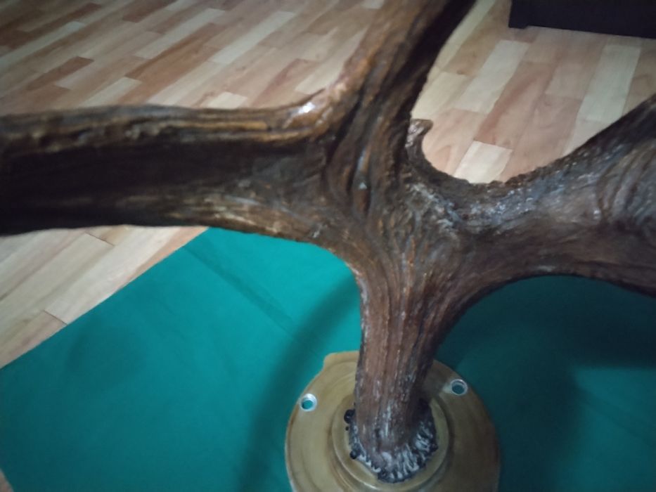 Натуральные рога. Советские. Марал.