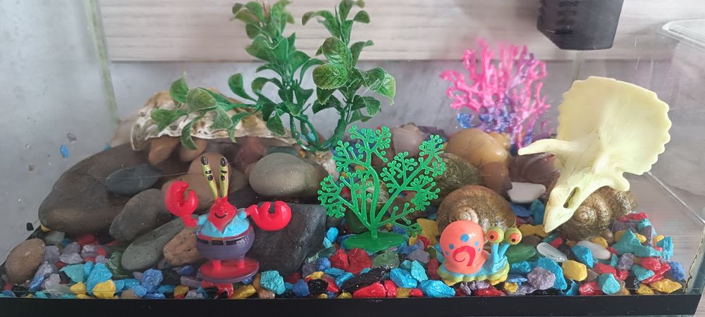 Продам аквариум 10л