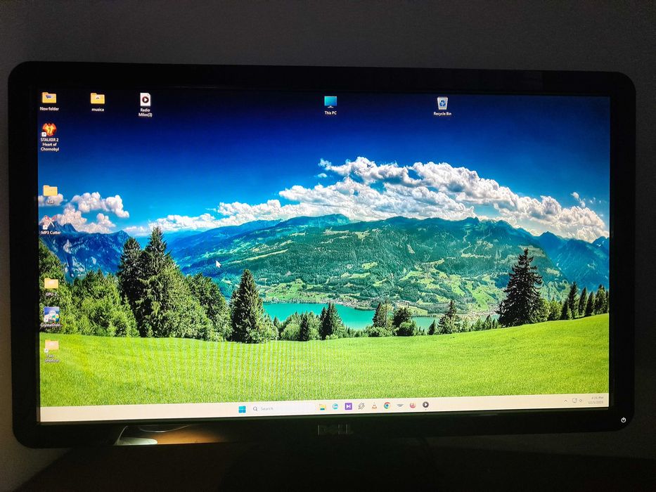 Vand Monitor DELL S2309W