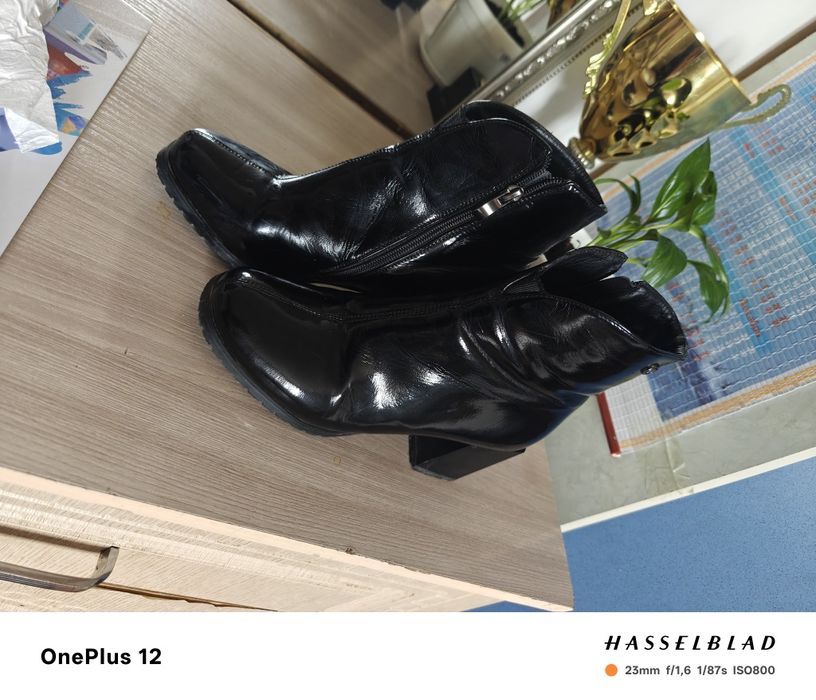 Сапаги демисезон, демисезон