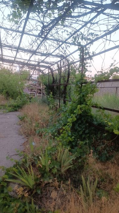 Продается дача в Азадбаше