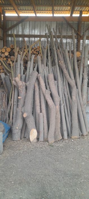 Шөп сатылады отын