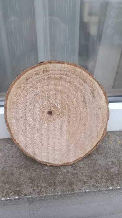 Disc Paulownia, Lemn, grosime 3 cm