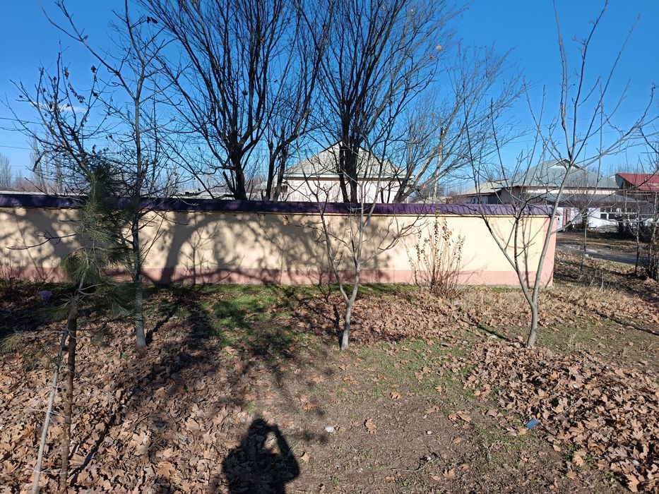 Участка кадастир мавжуд