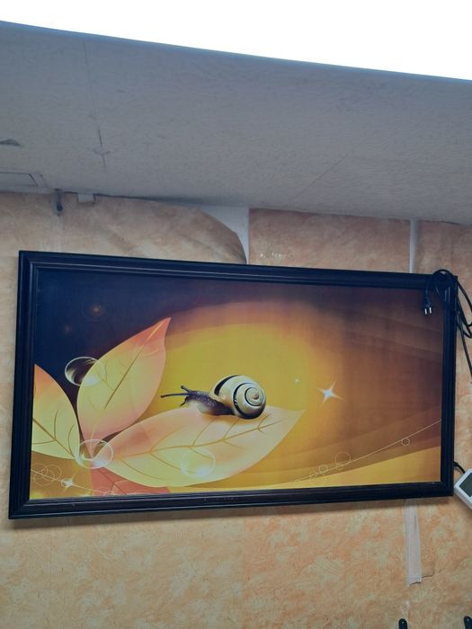 Panou Radiant Ceramic cu Infrarosu, 750W