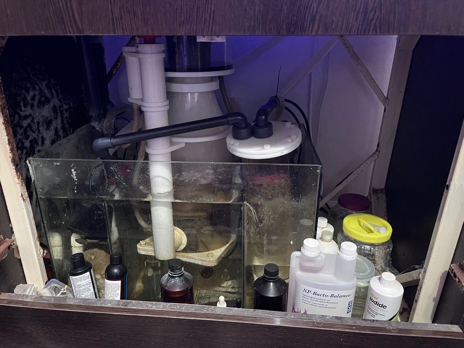 Морской аквариум