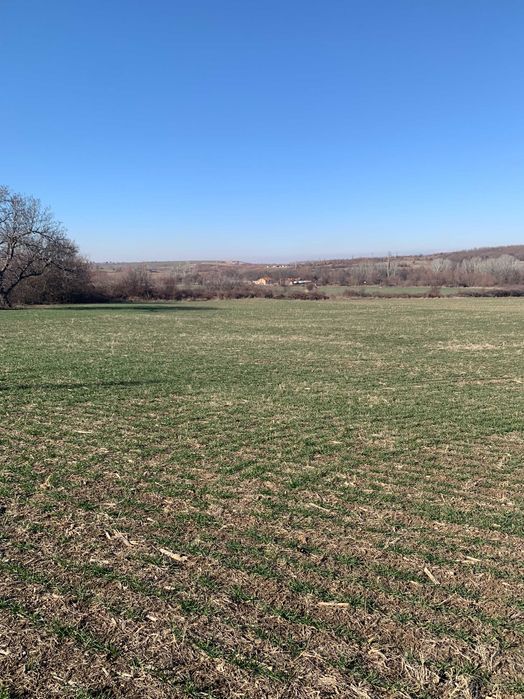 Продавам 1/3 идеални части от нива в с. Мулдава м. СТАРАТА КОЛИБА