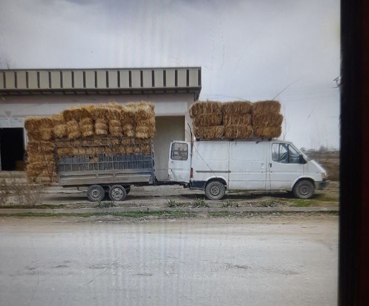 Форд прецепли дезельный