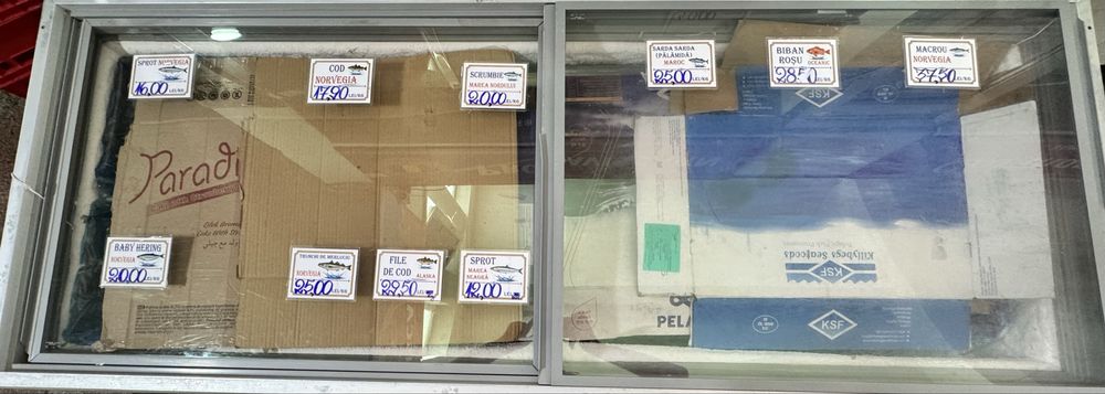 Lada frigorifica (congelare&refrigerare) AHT SALZBURG 900 litri capacitate
