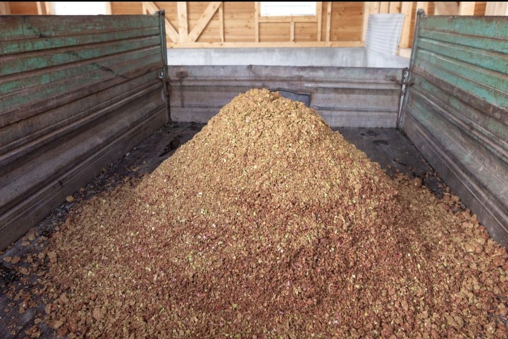 Olma vijimka sotiladi Chorva Mollar uchun