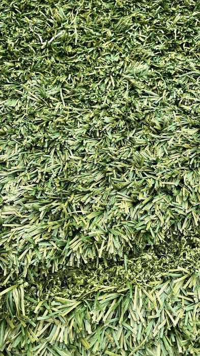 Gazon sintetic/artificial