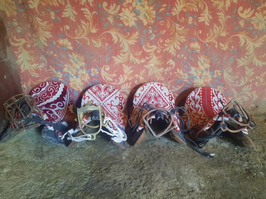 Ат абзелдеры сатылады