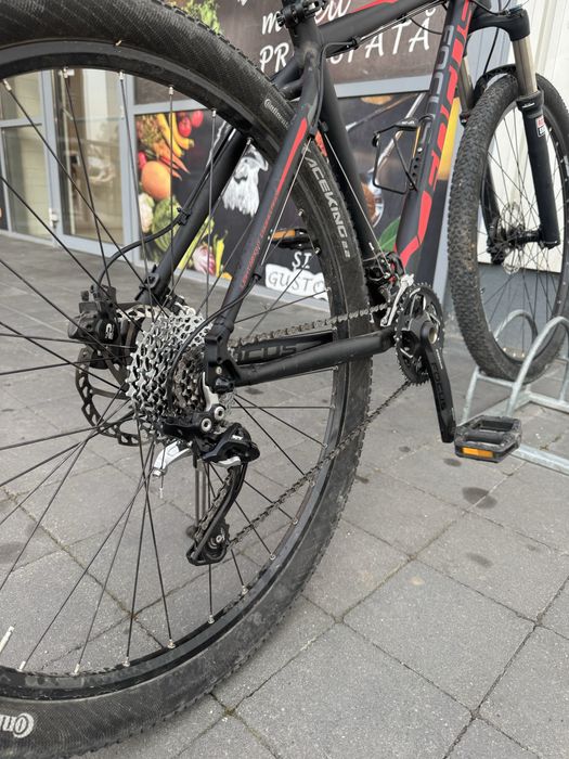 Bicicleta Focus Black Forest