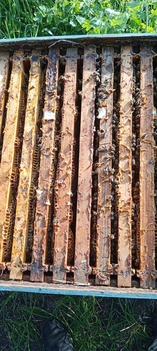 15 familii de vânzare