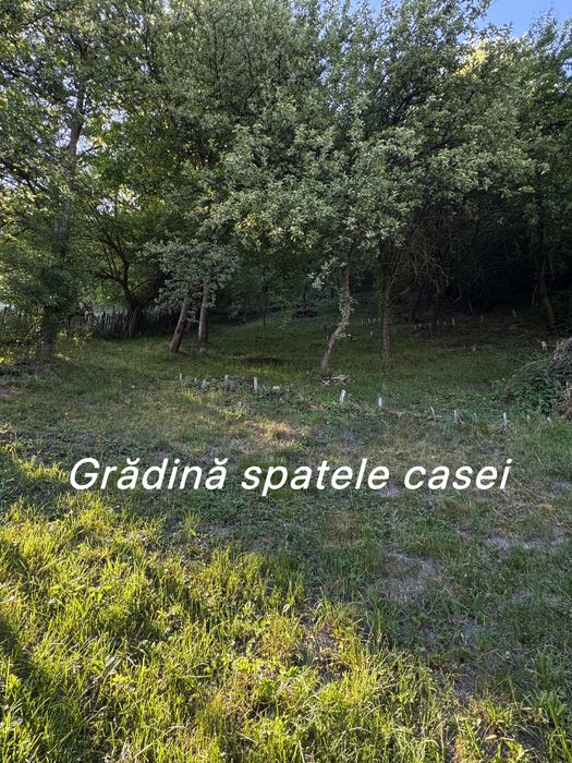 Casă cu teren de vânzare Petrila