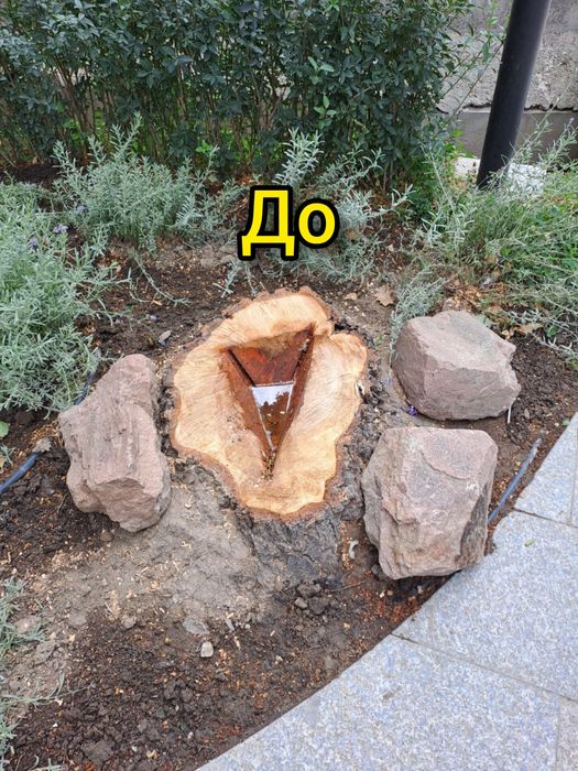 Корчевание пней. Убрать пень.