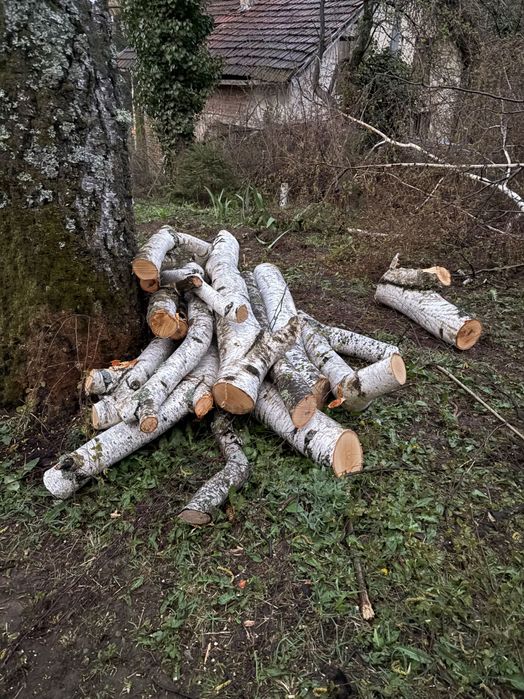 [обещани] Безплатно - дърва за огрев или дърводелство