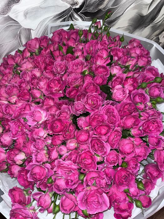 Продам цветы свежие