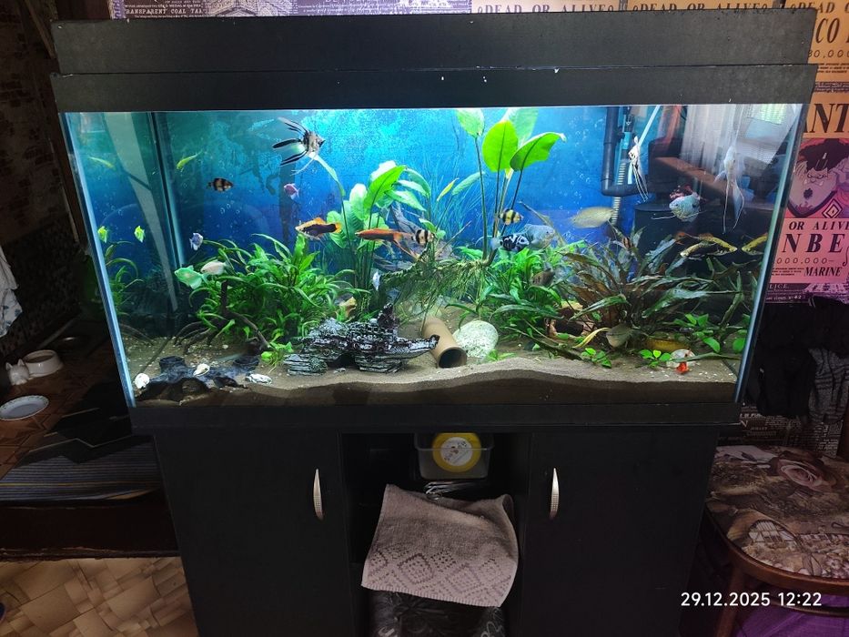 Аквариум 200 литров