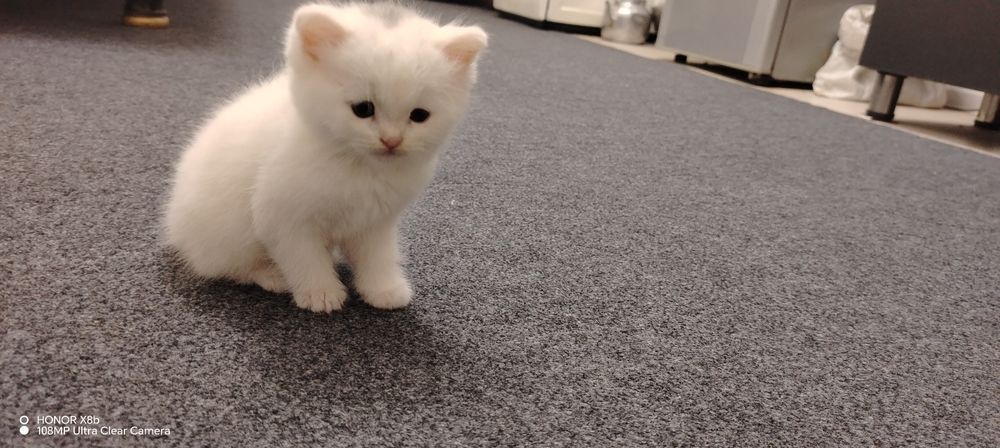 Xotinimning dugonasini sikdim xotinim ularni kordi