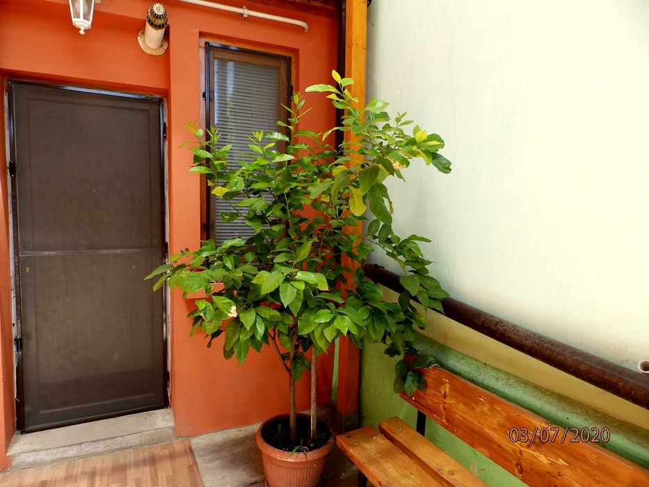 casa cu curte pe bdul Independentei  S.total 550mp S.util 330mp