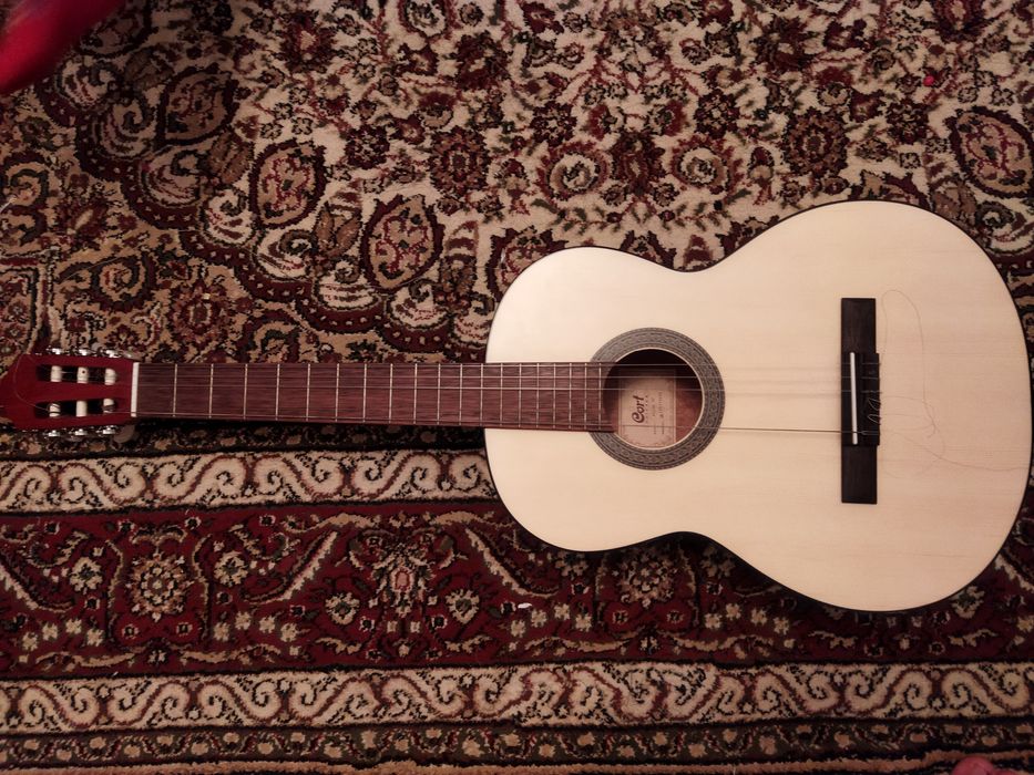 Гитара Корт, акустическая