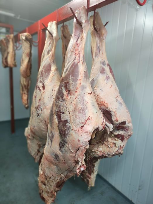 Мясо Ляжки Говядины,