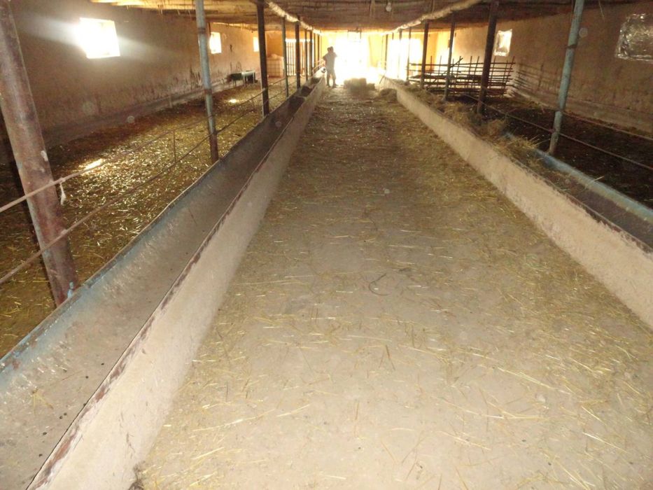 Участок с фермой 40соток срочно