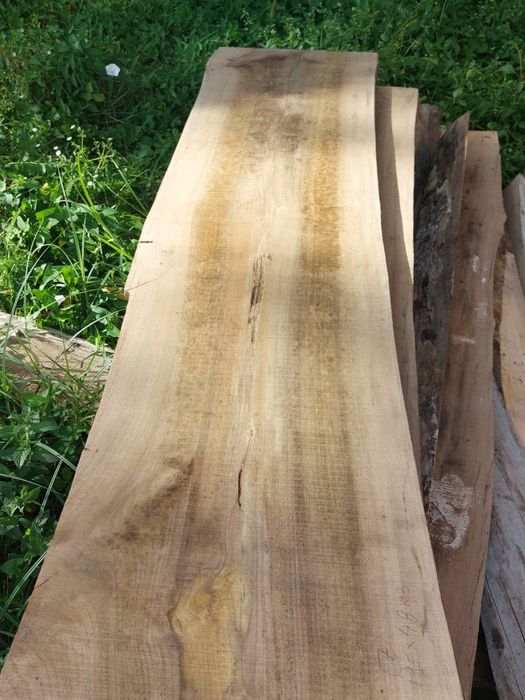 Vand cherestea-dulapi nuc netivita