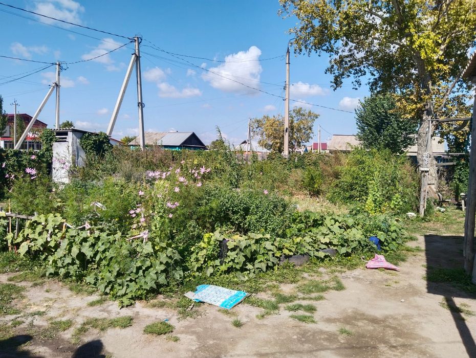 Продам дом в центре Макинска