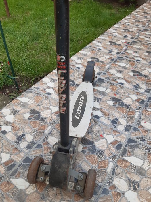 Trotineta  profi metal