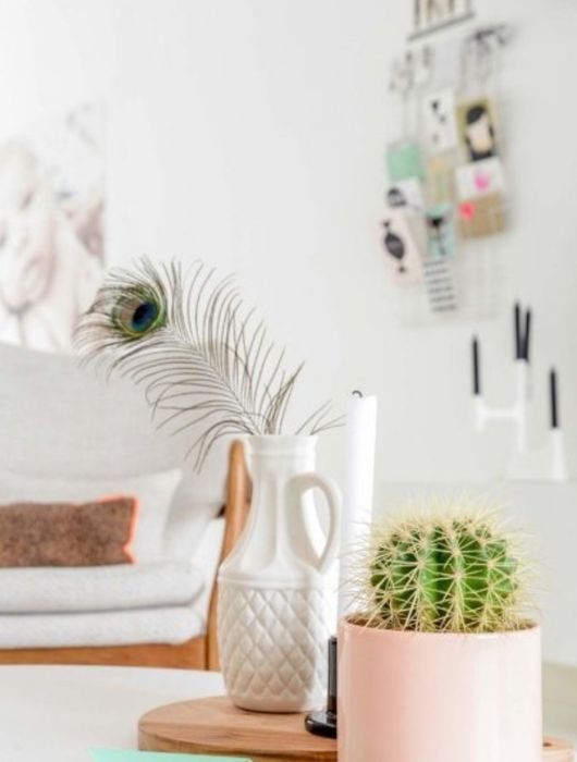 Кактусы кактусы.