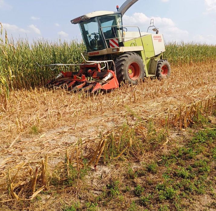 Claas Jaguar 860 Sotiladi