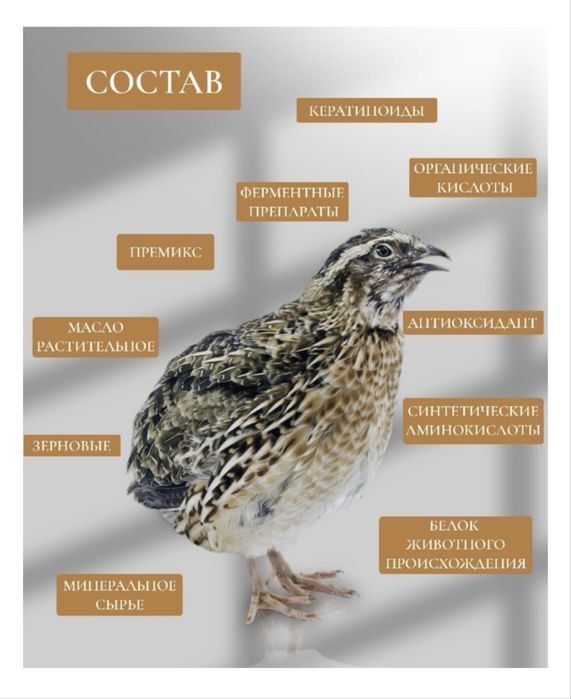 Мегамикс МегаКорм для перепелов