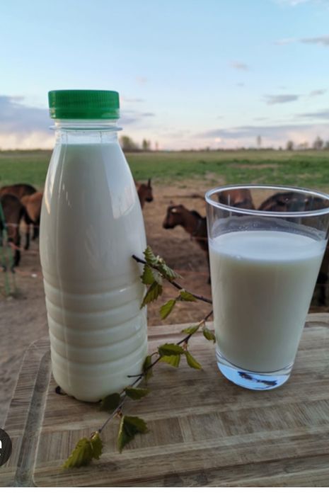 Продам малоко домашние оптом