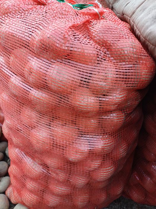 Продам семенную картошку 200