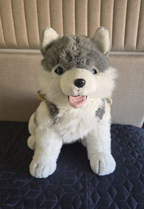 Голяма красиво Хъски