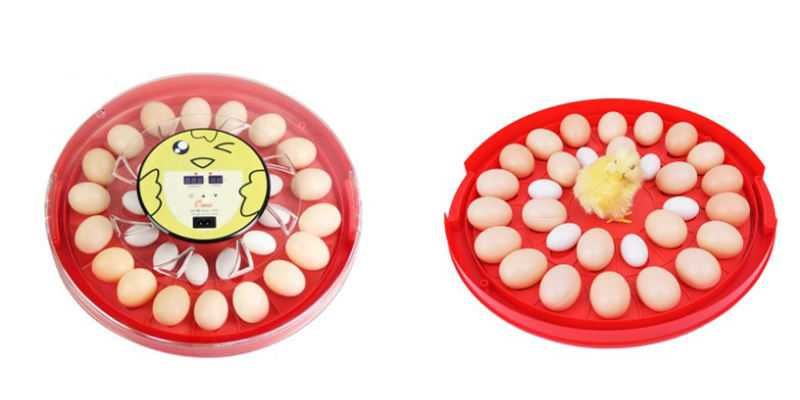 Автоматичен инкубатор 30 яйца - реф. код - 6 - ПРОМОЦИЯ