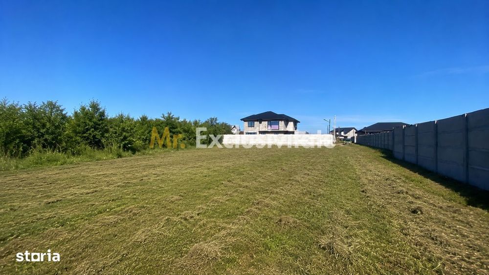 Teren intravilan 530 Mp | Albota
