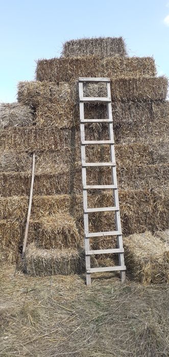 Vând baloti de paie